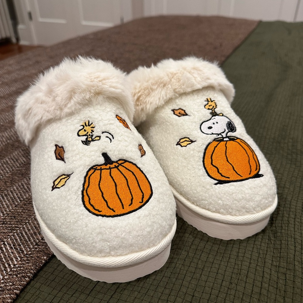American Eagle Snoopy Peanuts Fall / Halloween Slipper size 11